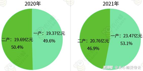 新河县数据和政务服务局最新发展规划探讨