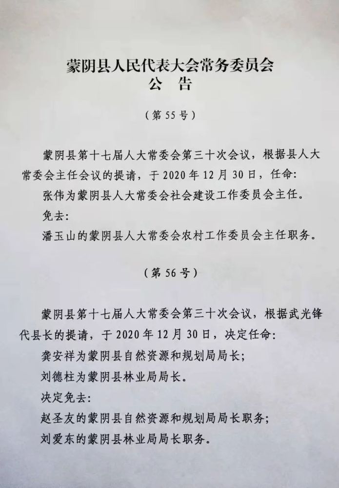 县最新人事任命动态概览