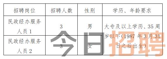 阳原县民政局最新招聘信息全面解析