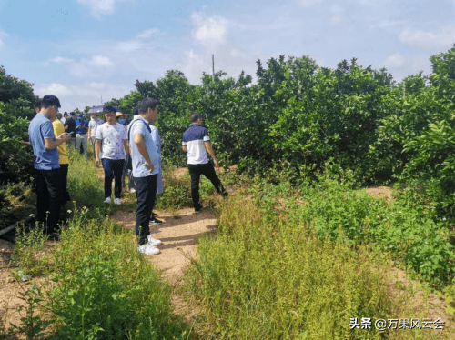 廉江市农业农村局最新资讯动态简报