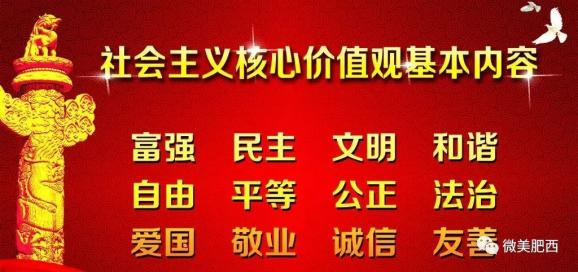 华盖村委会最新招聘信息概览