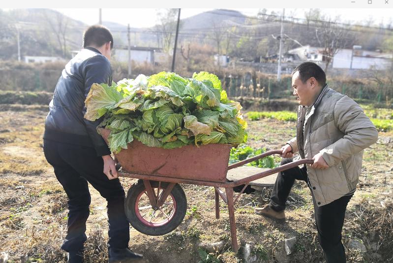 保定市安全生产监督管理局发展规划概览