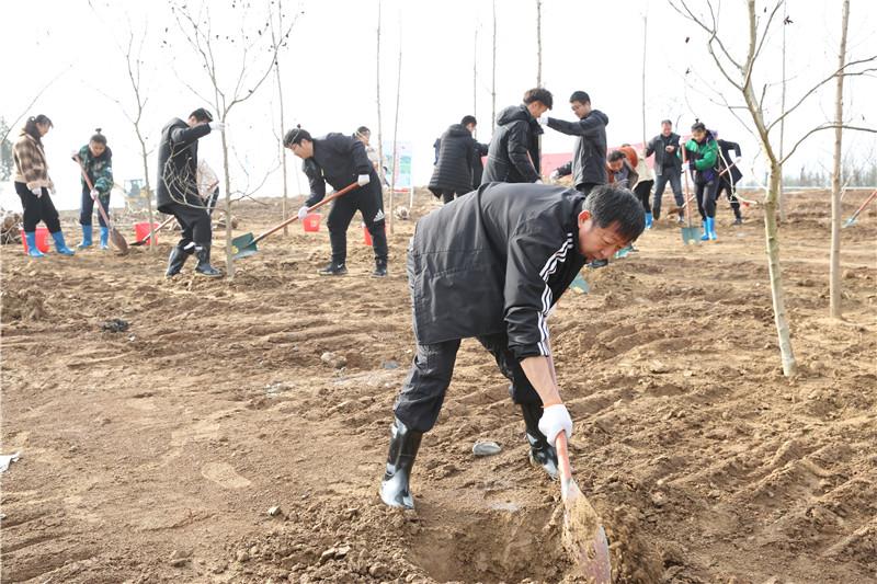 淮北市建设局最新招聘信息汇总