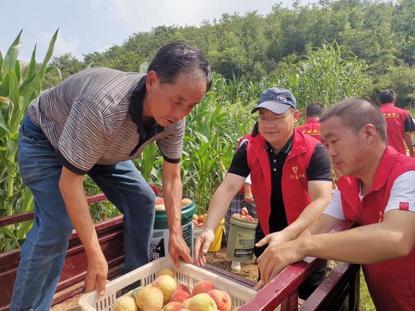 济源市民政局发展规划，构建和谐社会，服务民众需求新篇章